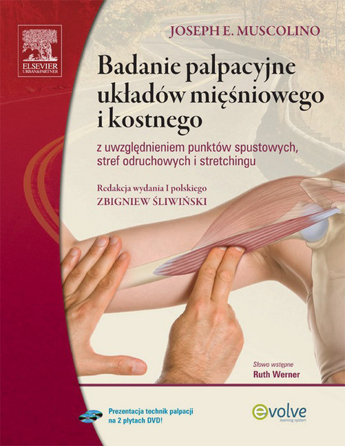 Badanie palpacyjne ukladów miesniowego i kostnego z uwzglednieniem punktów spustowych, stref odruchowych i stretchingu main product photo