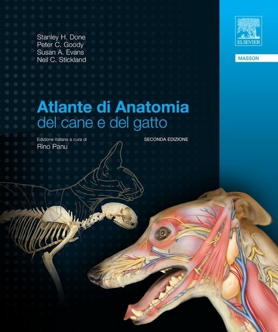 Atlante di anatomia del cane e del gatto main product photo
