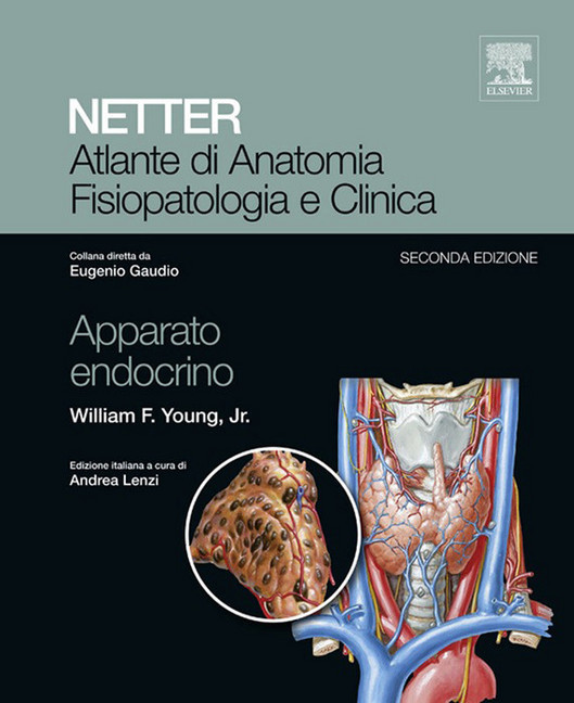 Atlante di Anatomia Fisiopatologia e Clinica: Apparato Endocrino main product photo