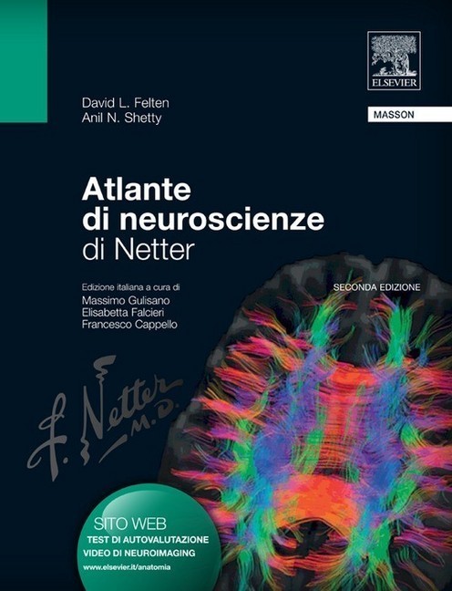 Atlante di neuroscienze di Netter main product photo