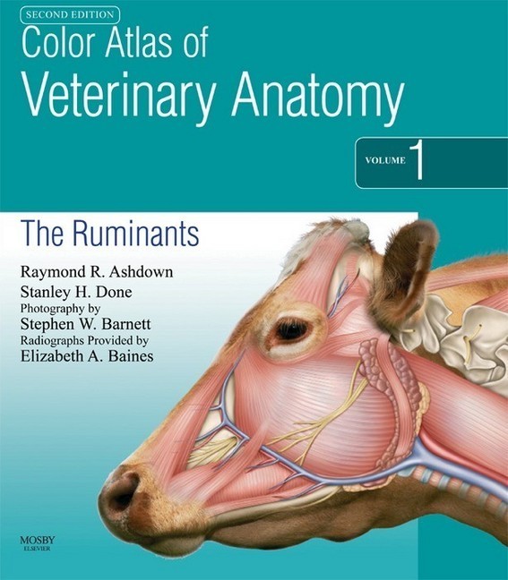 Color Atlas of Veterinary Anatomy, Volume 1, The Ruminants E-Book main product photo
