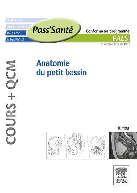 Anatomie du petit bassin (Cours + QCM) main product photo