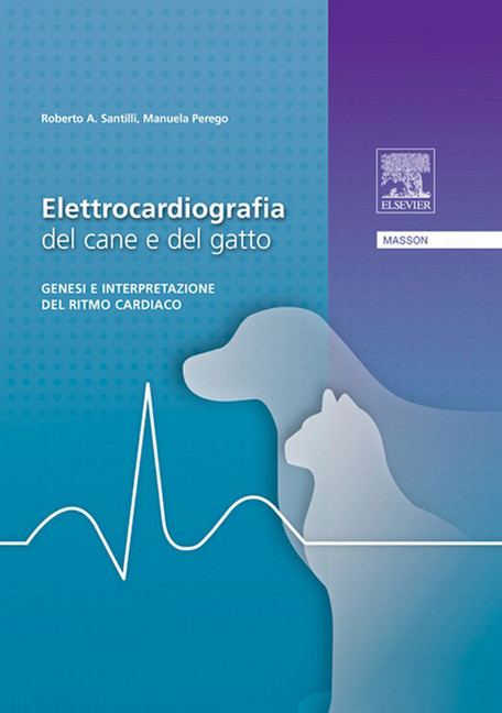 Elettrocardiografia del cane e del gatto main product photo