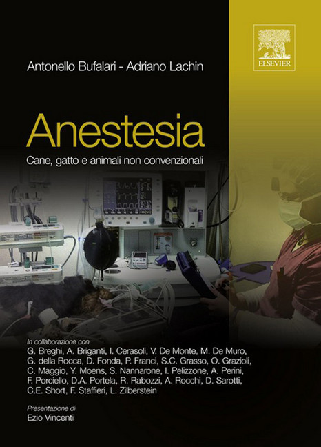 Anestesia main product photo
