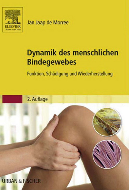 Dynamik des menschlichen Bindegewebes main product photo