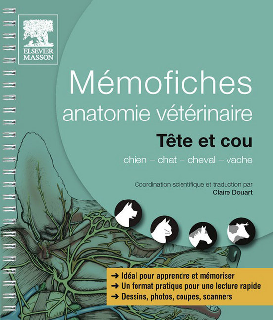 Mémofiches anatomie vétérinaire - Tête et cou main product photo