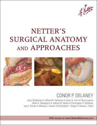 Netter's Surgical Anatomy and Approaches