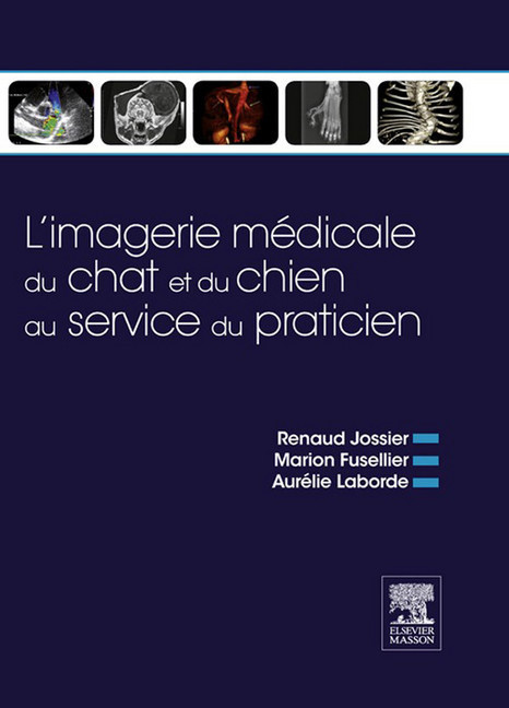 L'imagerie médicale du chat et du chien au service du praticien main product photo