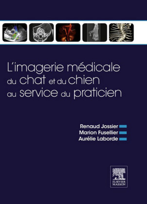 L'imagerie médicale du chat et du chien au service du praticien