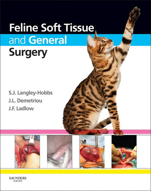 Feline Soft Tissue and General Surgery main product photo