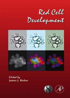 Red Cell Development