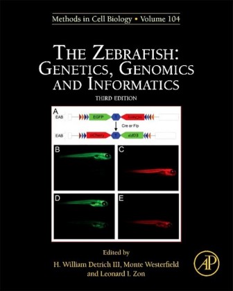 The Zebrafish: Genetics, Genomics and Informatics