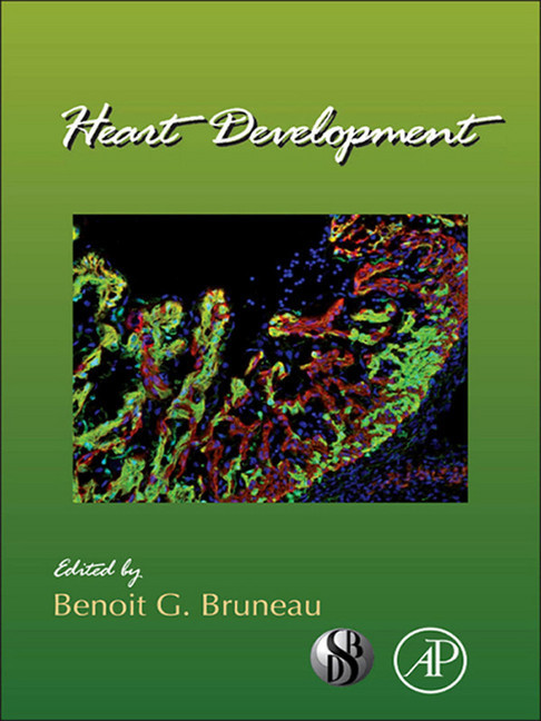 Heart Development main product photo