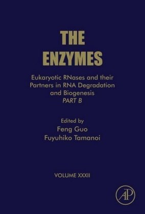 Eukaryotic RNases and their Partners in RNA Degradation and Biogenesis