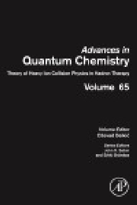 Theory of Heavy Ion Collision Physics in Hadron Therapy