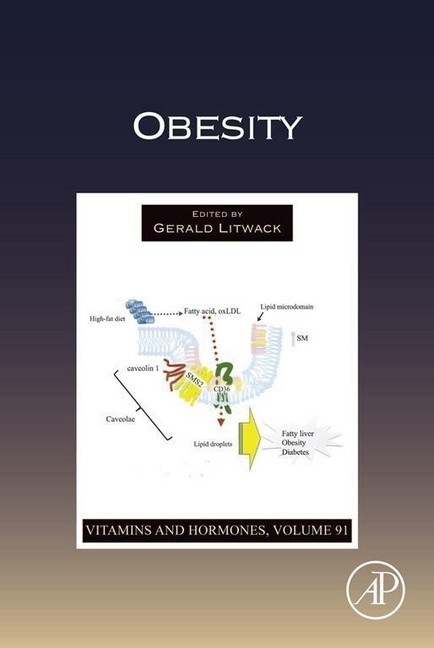 Obesity main product photo