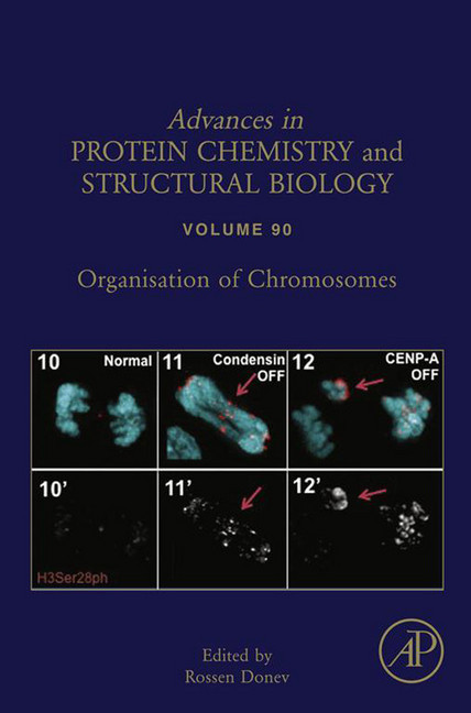 Organisation of Chromosomes main product photo