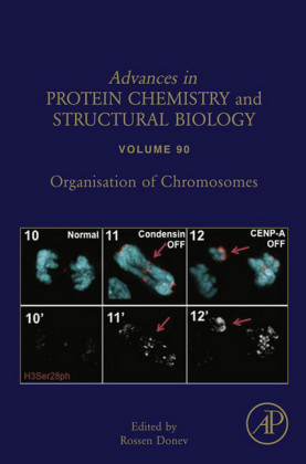 Organisation of Chromosomes