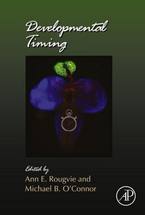 Developmental Timing