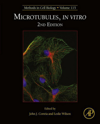 Microtubules, in vitro 2E