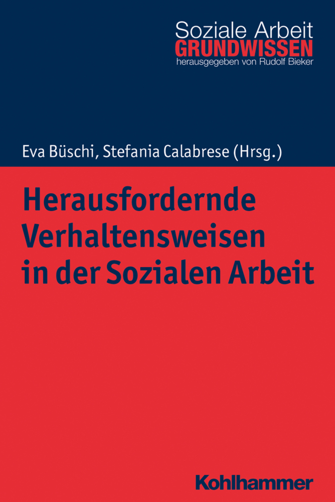 Herausfordernde Verhaltensweisen in der Sozialen Arbeit main product photo
