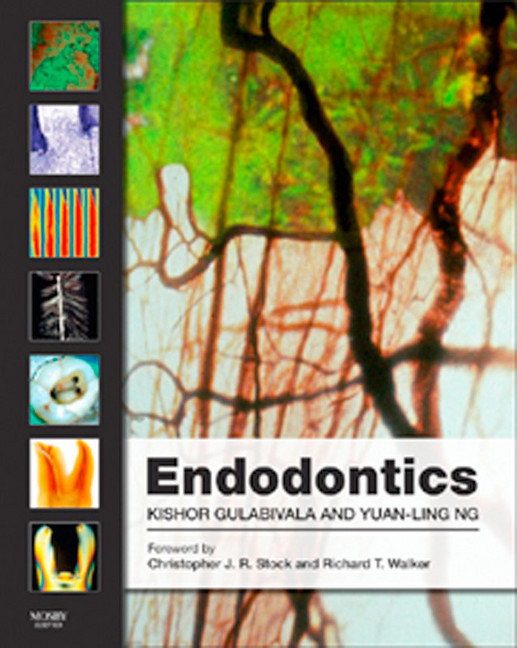 Endodontics main product photo