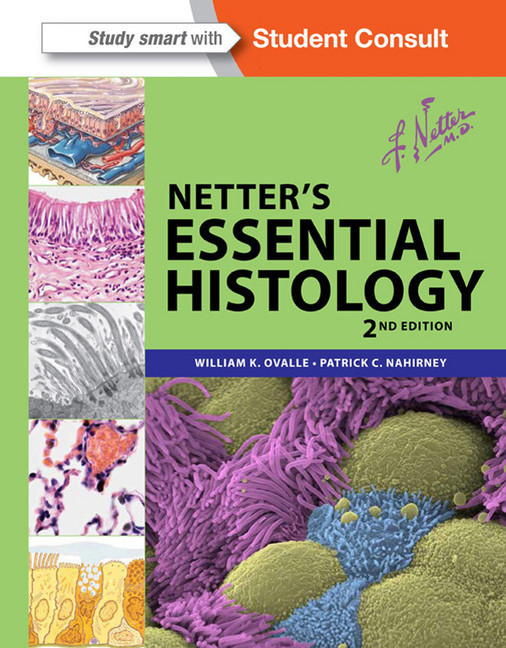 Netter's Essential Histology main product photo