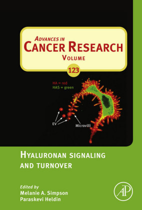 Hyaluronan Signaling and Turnover