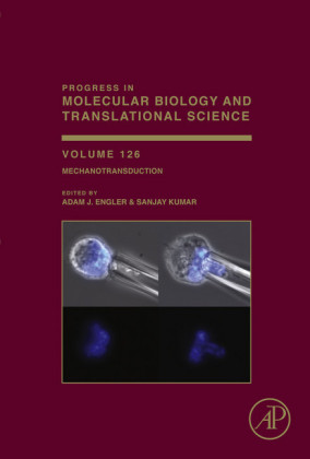 Mechanotransduction