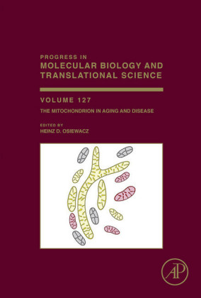 The Mitochondrion in Aging and Disease