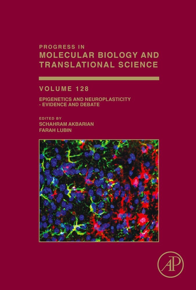 Epigenetics and Neuroplasticity - Evidence and Debate main product photo