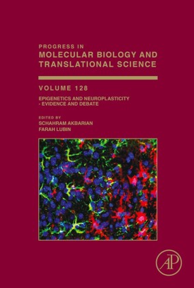 Epigenetics and Neuroplasticity - Evidence and Debate