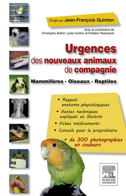 Urgences des nouveaux animaux de compagnie main product photo