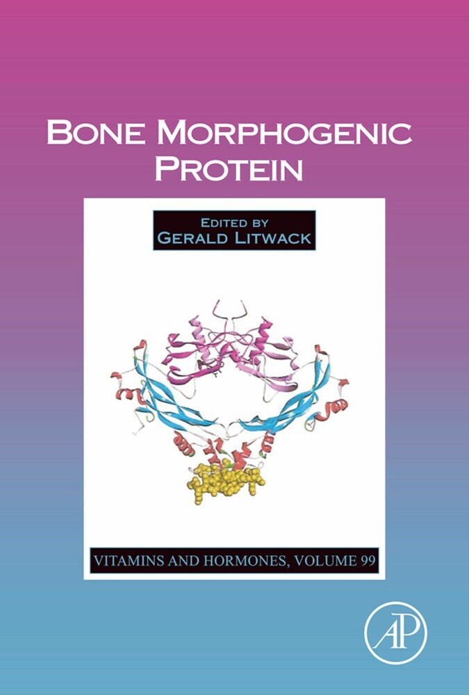 Bone Morphogenic Protein main product photo