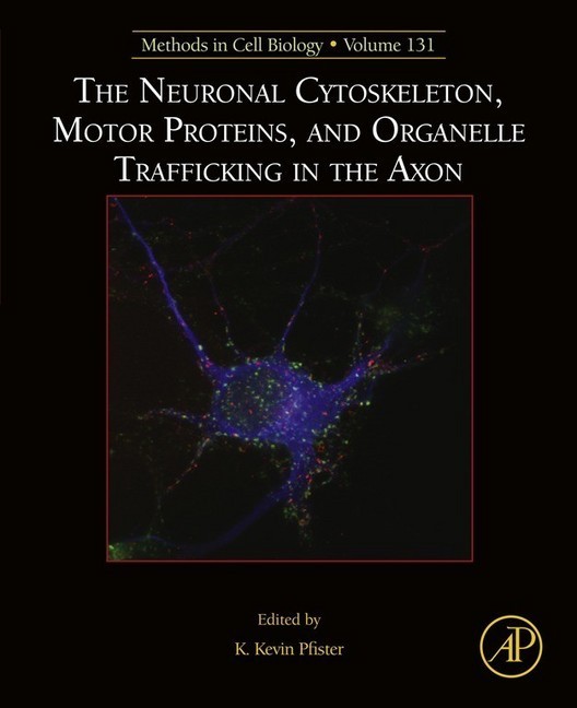The Neuronal Cytoskeleton, Motor Proteins, and Organelle Trafficking in the Axon main product photo