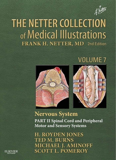 The Netter Collection of Medical Illustrations: Nervous System, Volume 7, Part II - Spinal Cord and Peripheral Motor and Sensory Systems main product photo