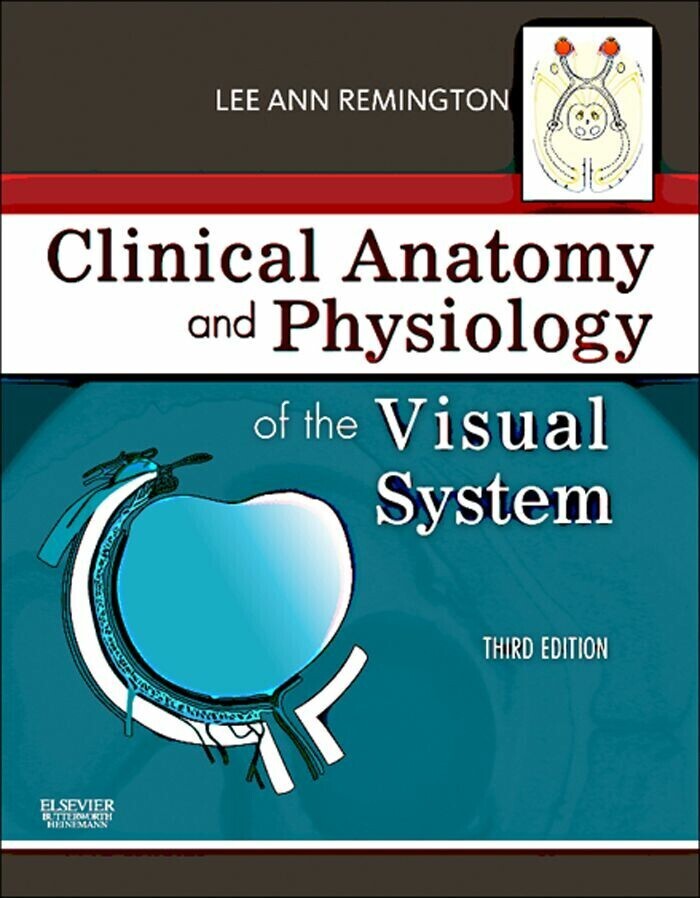 Clinical Anatomy of the Visual System E-Book main product photo