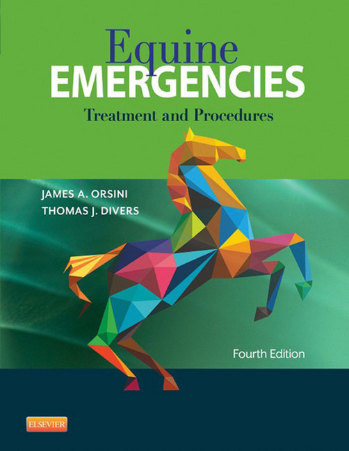 Equine Emergencies E-Book main product photo