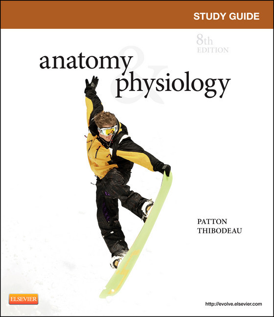 Study Guide for Anatomy & Physiology main product photo