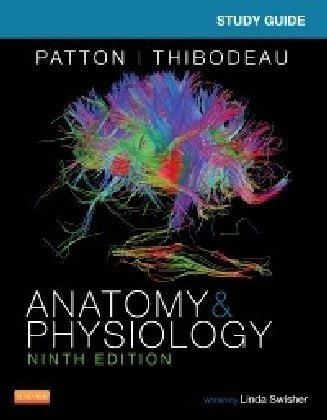 Study Guide for Anatomy & Physiology