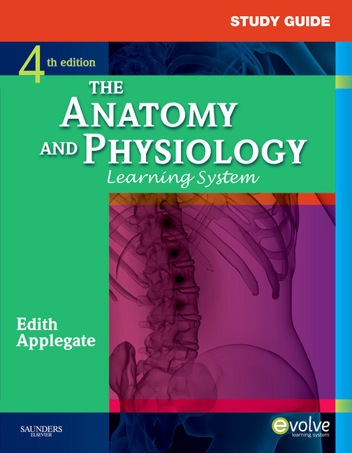 Study Guide for The Anatomy and Physiology Learning System main product photo