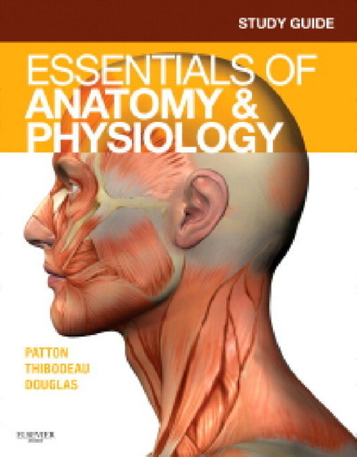 Study Guide for Essentials of Anatomy & Physiology main product photo