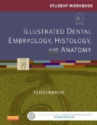 Student Workbook for Illustrated Dental Embryology, Histology and Anatomy - E-Book