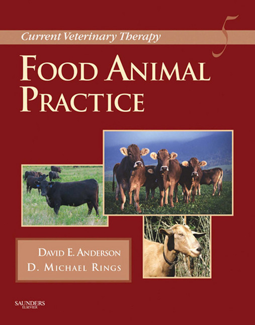 Current Veterinary Therapy main product photo