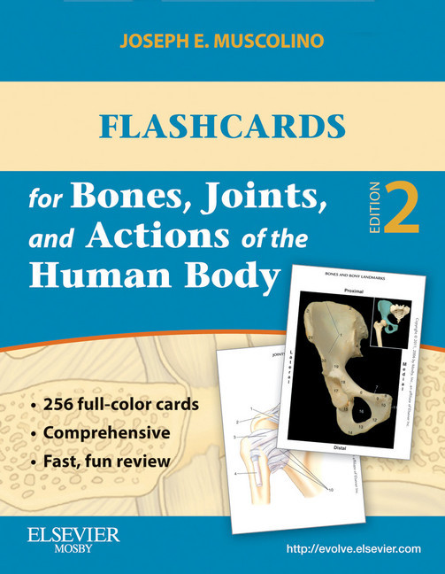 Flashcards for Bones, Joints, and Actions of the Human Body main product photo