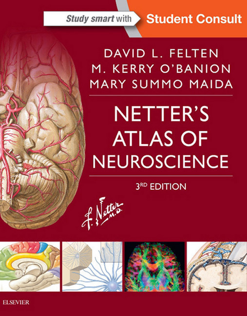 Netter's Atlas of Neuroscience main product photo