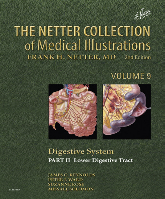 The Netter Collection of Medical Illustrations: Digestive System: Part II - Lower Digestive Tract main product photo