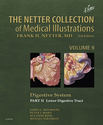 The Netter Collection of Medical Illustrations: Digestive System: Part II - Lower Digestive Tract