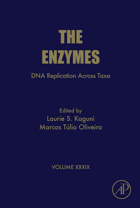 DNA Replication Across Taxa