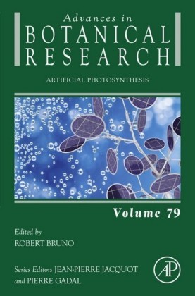 Artificial Photosynthesis